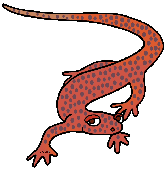 642x648 Salamander Clipart Tennessee