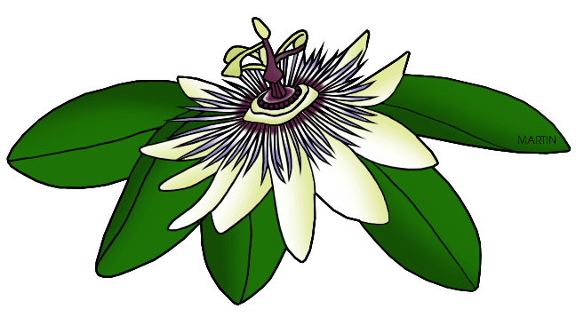 648x366 United States Clip Art By Phillip Martin, Tennessee State Wild