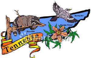 300x192 Bird, Flower, And Animal Of Tennessee