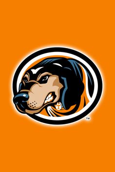 236x354 Tn Vols Photos Tennessee Volunteers Books Worth Reading