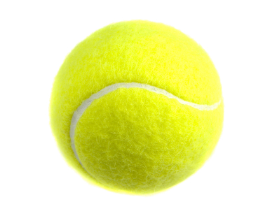 385x312 Tennis Ball Game Manon's Econ Blog