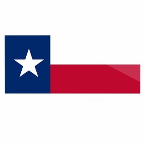 299x299 Texas Flag Wall Art Wayfair
