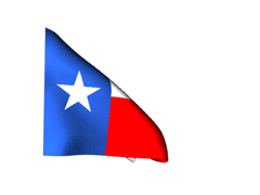240x180 Flag Texas Animated Flag Gif