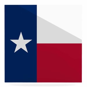 299x299 Texas Flag Wall Art Wayfair