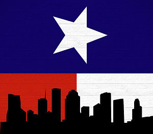 300x264 Texas Flag Art