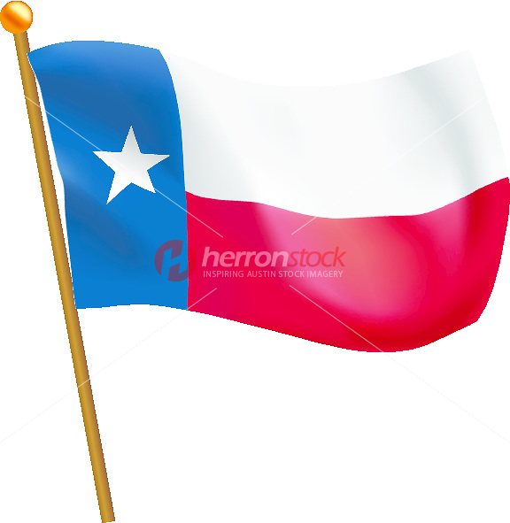 576x591 Texas State Flag