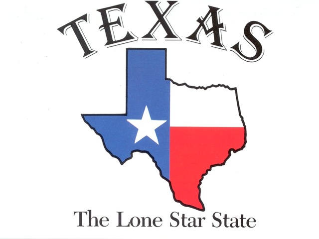 640x480 State Of Texas Logo 1 Health Care Logos Clip Art