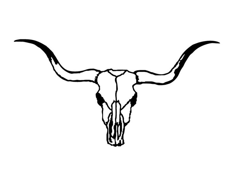 736x568 Ssckull Clipart Texas Longhorn
