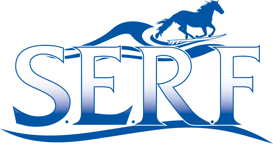 945x504 Stonewall Equine Rehabilitation And Fitness