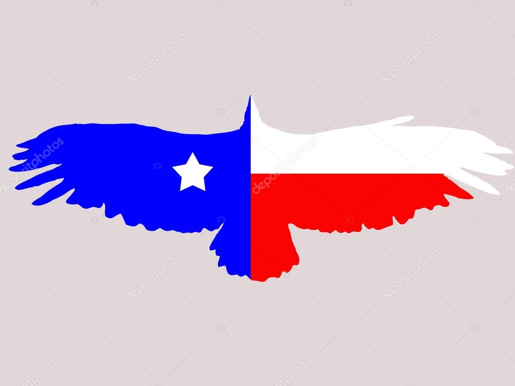 1024x768 Texas Flag Stock Vector Mihail1981