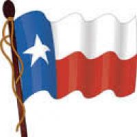 200x200 Texas Flag Clipart