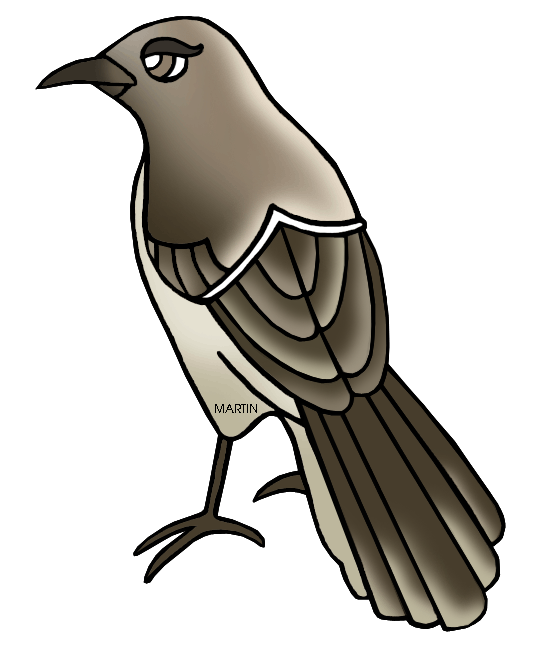 533x648 United States Clip Art By Phillip Martin, Texas State Bird