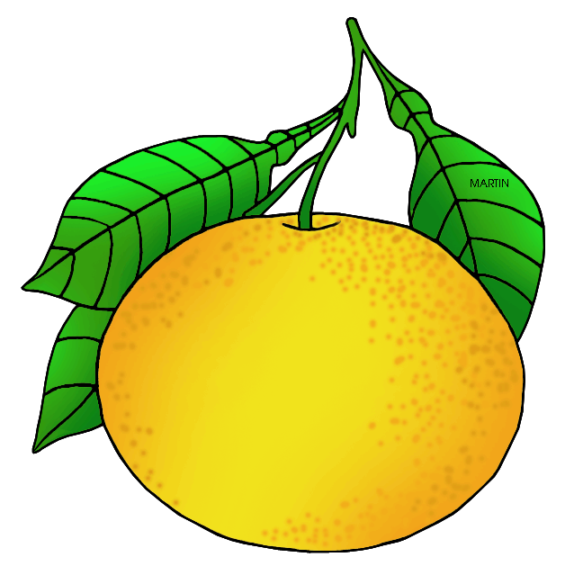 648x639 United States Clip Art By Phillip Martin, Texas State Fruit