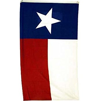 350x350 2x3 Polyester Texas State Flag