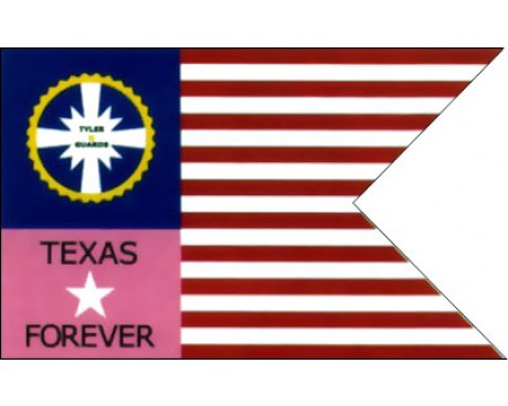 460x368 Texas Flags