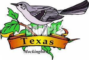 300x201 Texas State Bird And Flower Best Bird 2017