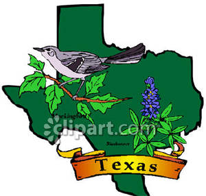 300x286 Texas State Flower Clipart