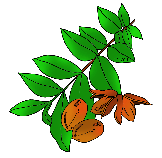 648x631 Free Texas Tech Clipart