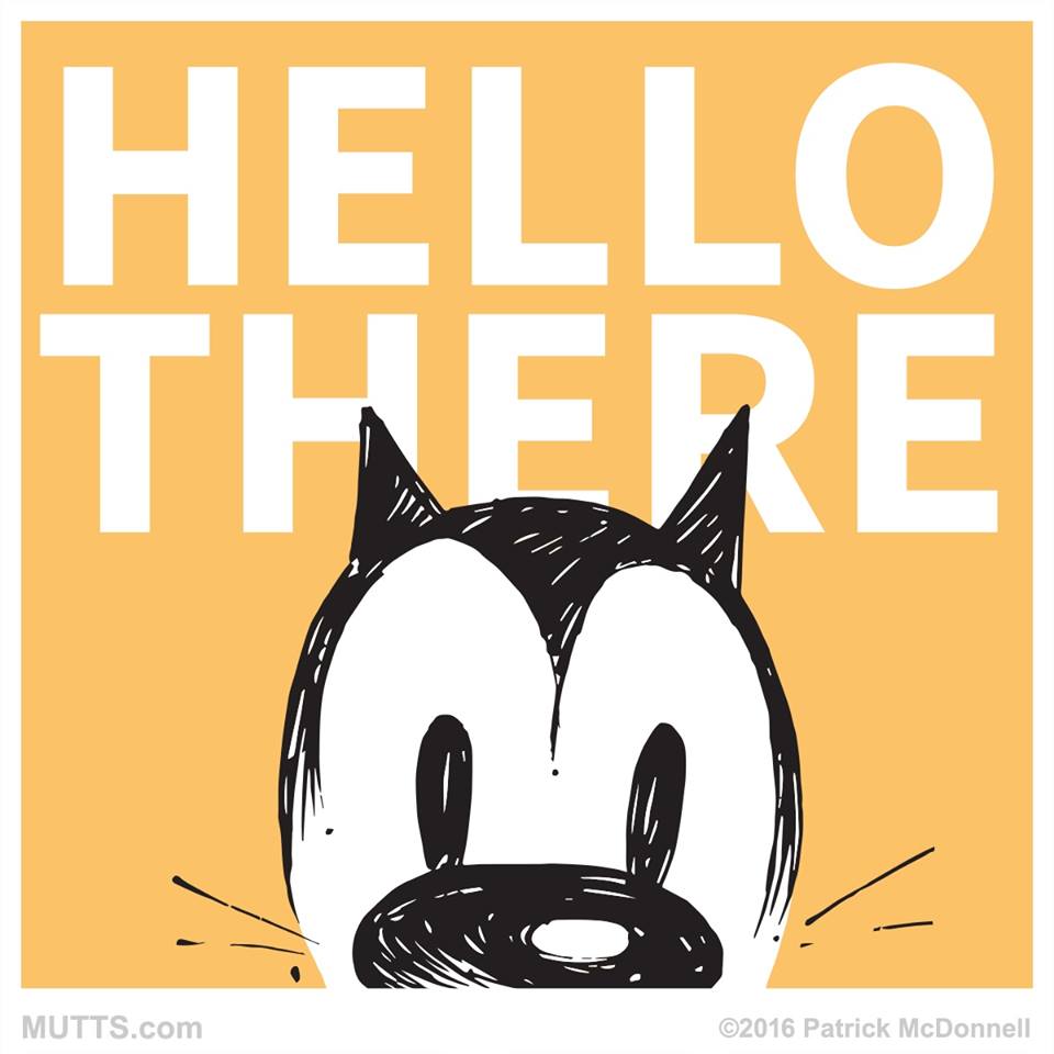 960x960 Oh, Hi! What Are You Up To Today