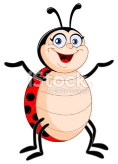 236x329 Nine Bugs. The Bugs Are Each Grouped Individually And Are Separate