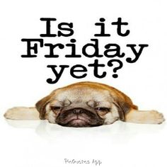 236x236 Tgif. Have A Fab Weekend Everyone) Humor Tgif