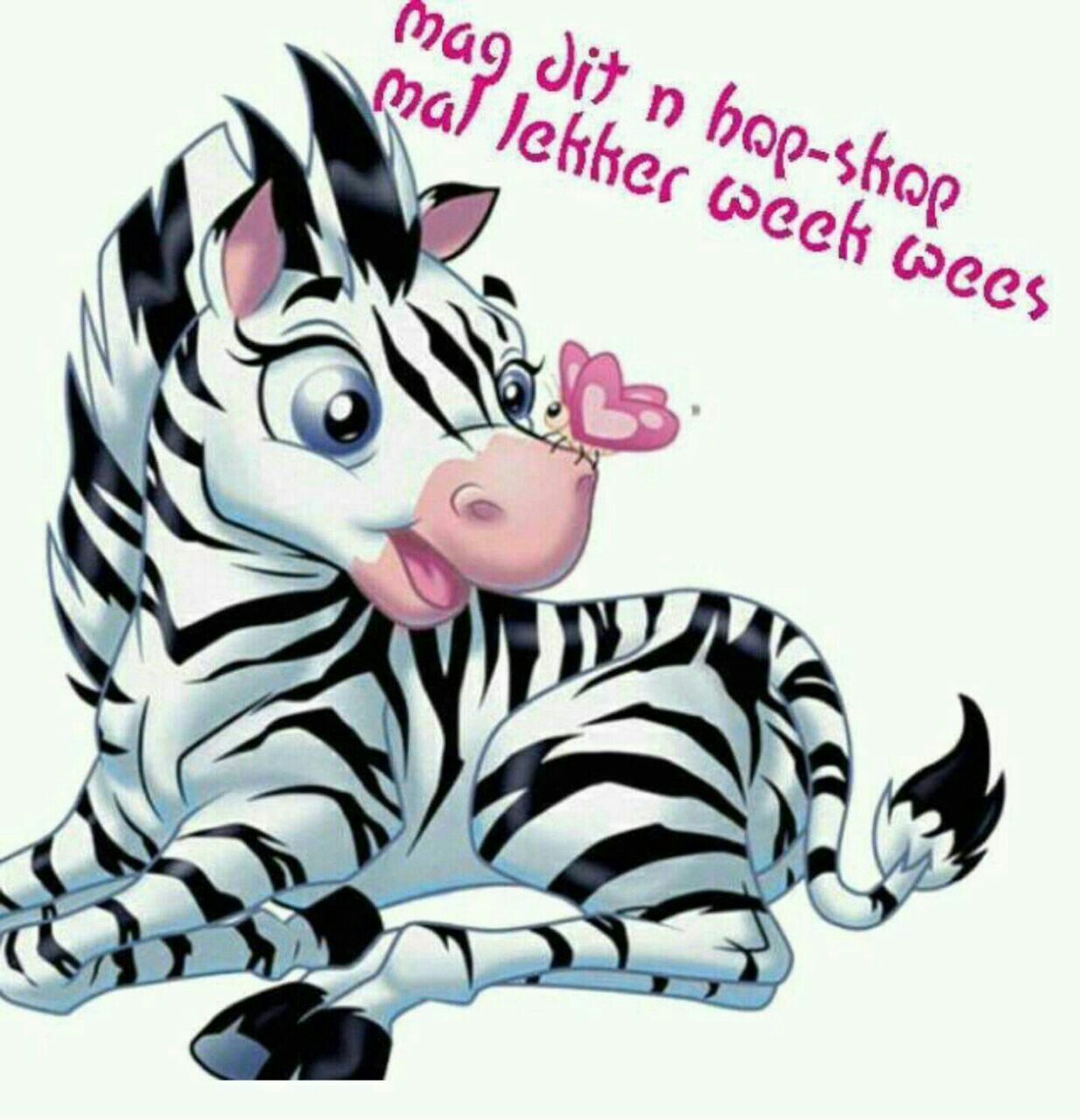 1234x1280 Pin By Bev Nel On Afrikaans Goeie Moregoeie Nag