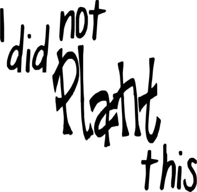 391x381 Wordart An Anonymous Life Page 2