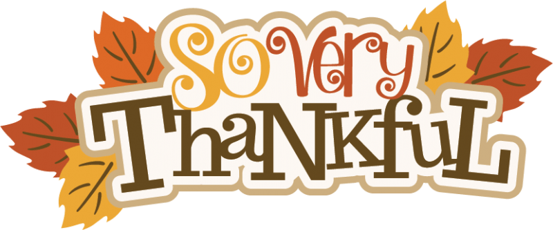 800x333 Are You Thankful For Your Donors Ann Green's Nonprofit Blog
