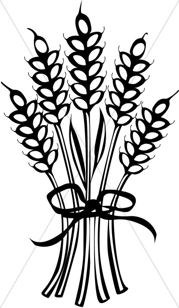 356x612 Thanksgiving Clipart Wheat