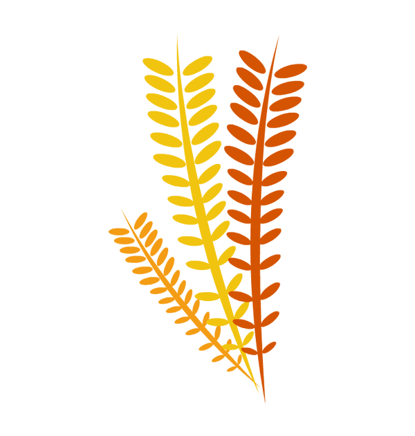 600x630 Thanksgiving Clipart Borders