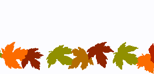 310x150 November Thanksgiving Borders Festival Collections