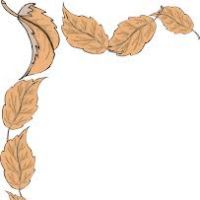 200x200 Free Thanksgiving Border Clipart