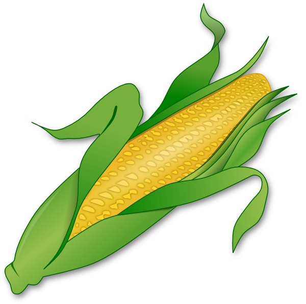 600x595 Corn Clipart Rn Clip Art Vector