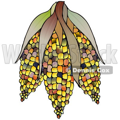 400x400 Thanksgiving Corn Clip Art