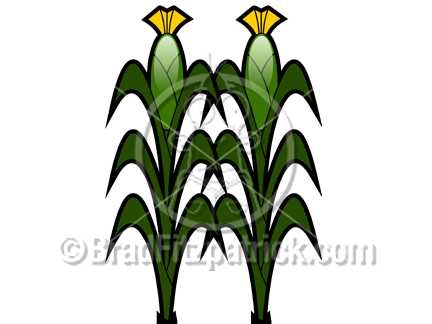 432x324 Cartoon Corn Clipart Picture Royalty Free Corn Stalk Clip Art