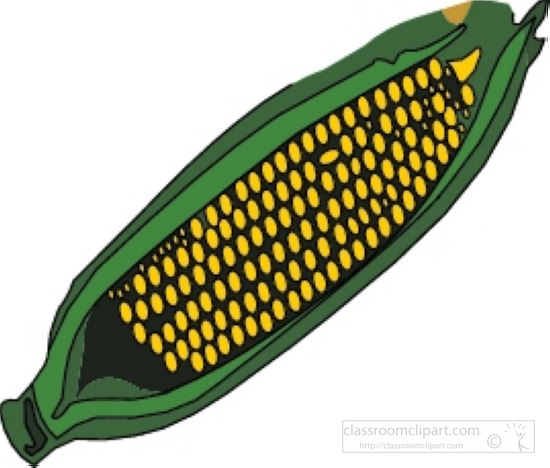 550x468 Thanksgiving Turkey Clip Art