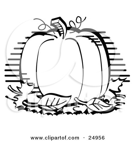 450x470 Clipart Picture Of A Fresh Thanksgiving Pumpkin Pie In A Pan