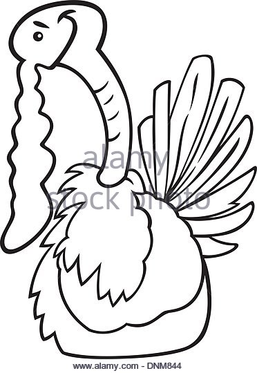 372x540 Turkey Farm Black And White Stock Photos Amp Images