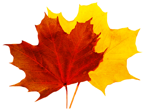 472x349 Fall Leaves Clip Art