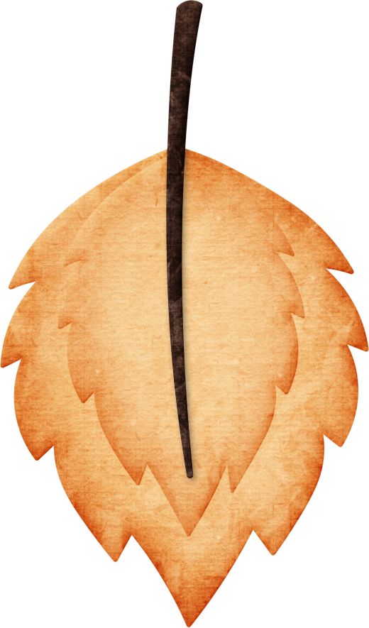 520x885 591 Best Fall Says To Clip It Images Card Making