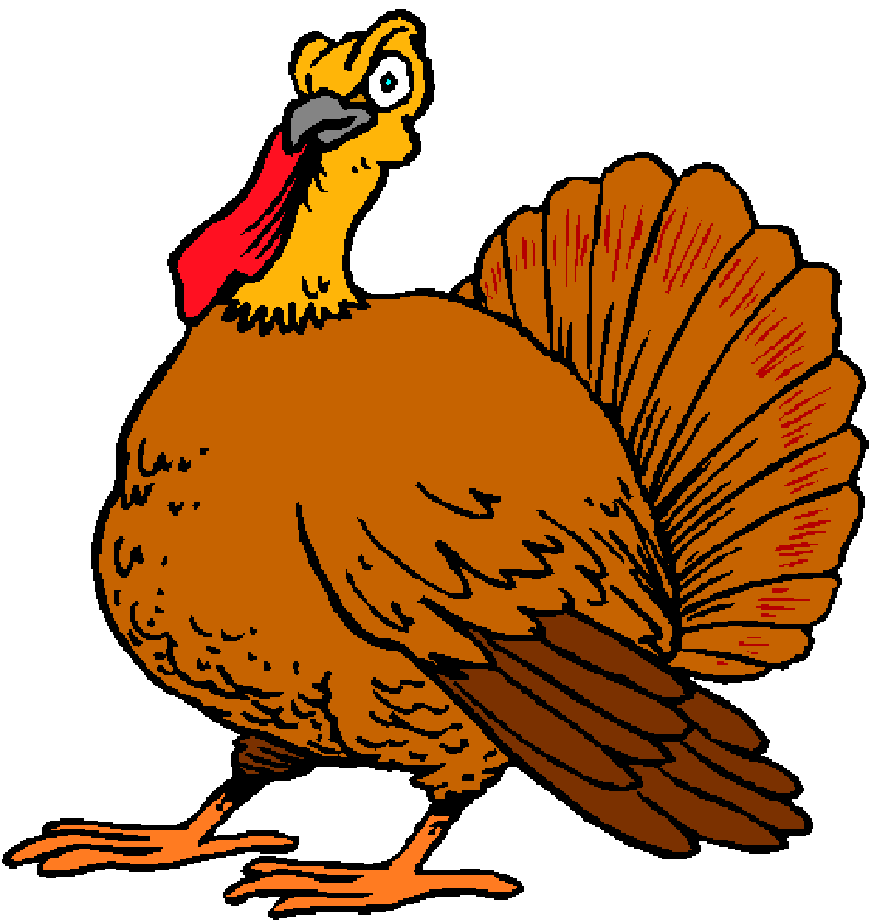 800x842 Thanksgiving Turkey Cartoon