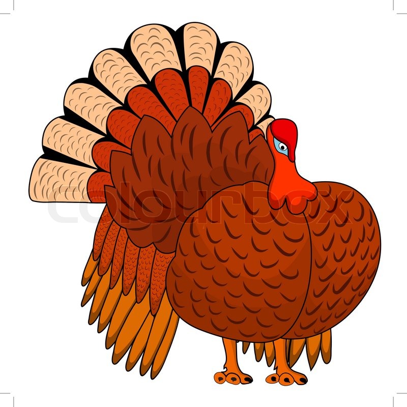 800x800 Thanksgiving Day Turkey Icon. All Objects Are Separated. Vector