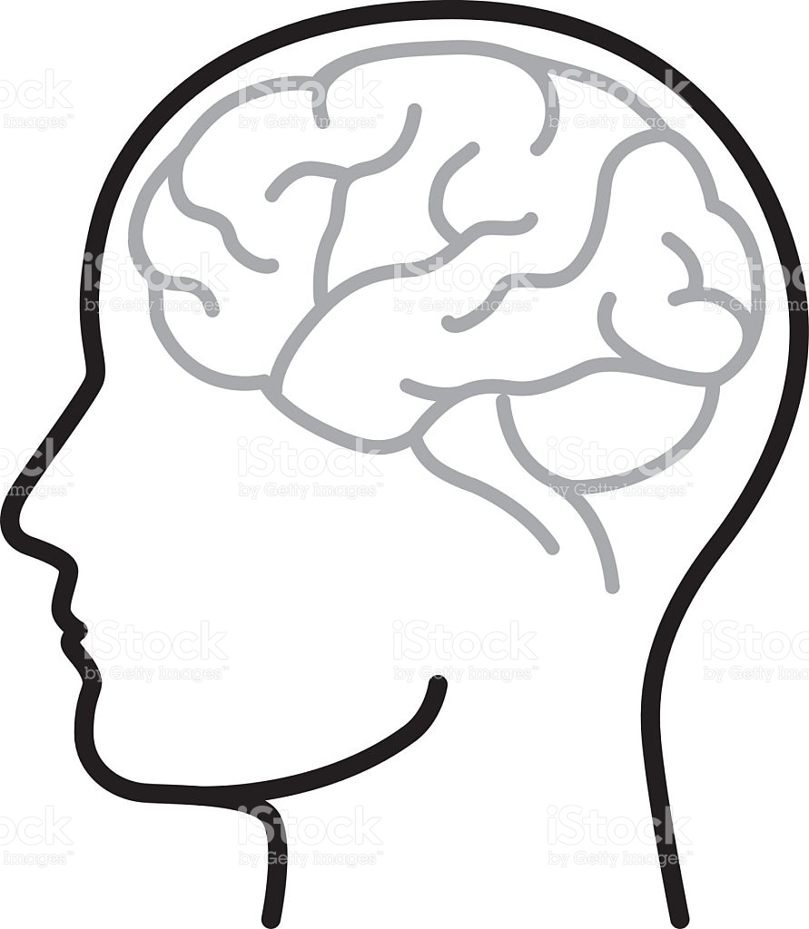 891x1024 Brains Clipart Vector Art