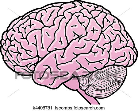 450x361 Clipart Of Human Brain K4408781