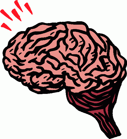 490x536 Free Clipart Brain Clipartmonk