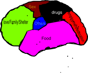 299x249 Human Brain Clip Art