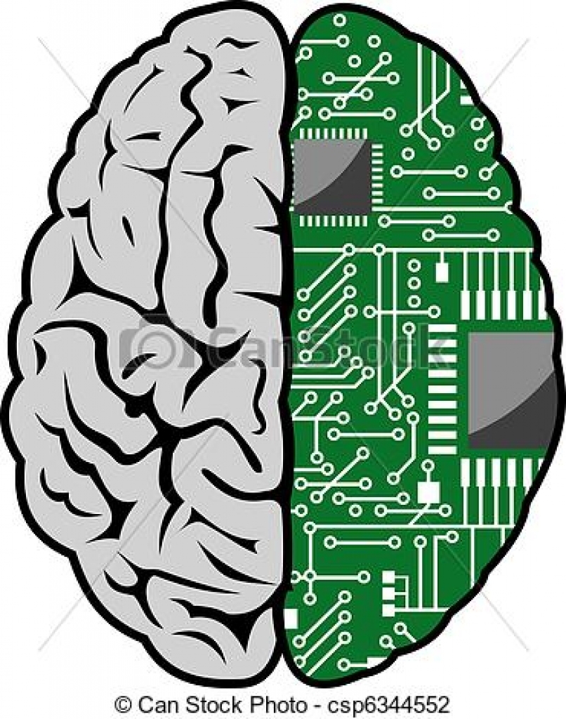 806x1024 Brain Clipart Half