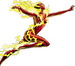 250x220 Fileflash Sela.png