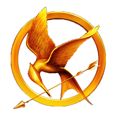400x400 The Hunger Games By Ricchi Com
