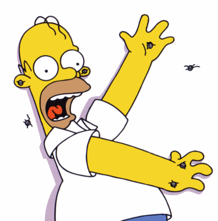 444x450 Homer Simpson Pictures Simpsons Crazy